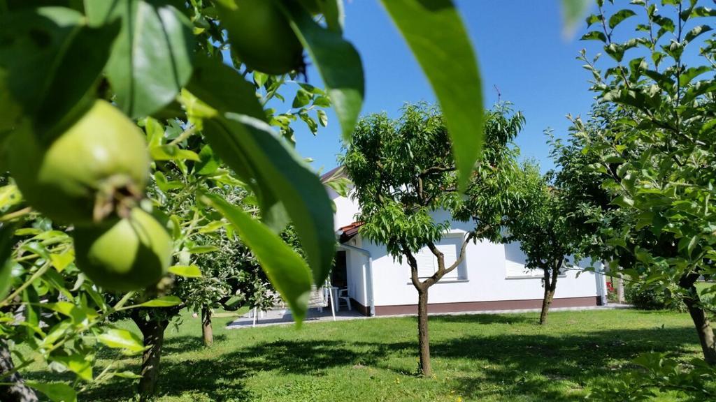 Apartment Cecilia Koprivnica Pokój zdjęcie