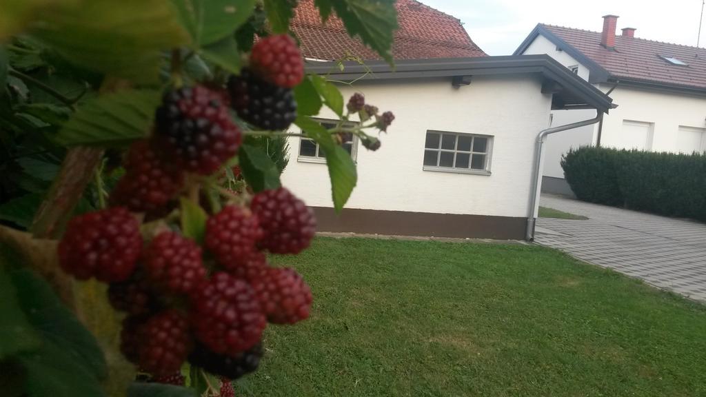 Apartment Cecilia Koprivnica Pokój zdjęcie