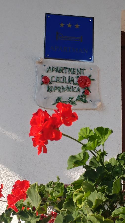 Apartment Cecilia Koprivnica Zewnętrze zdjęcie